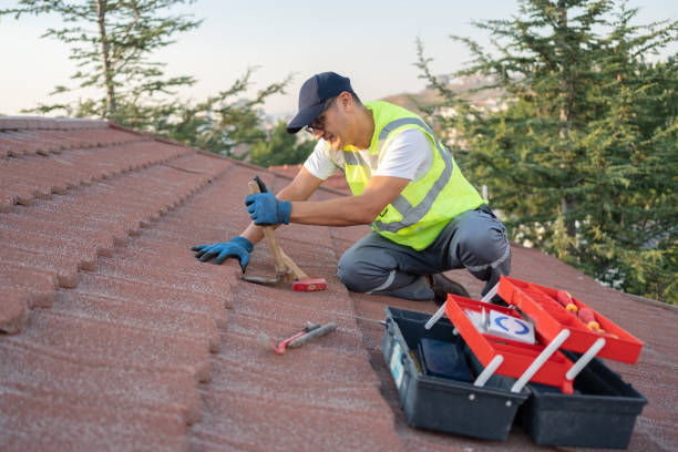 Best Flat Roof Repair Services  in Farmington, MN